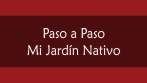 Paso a paso