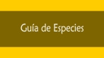 Guia de especies